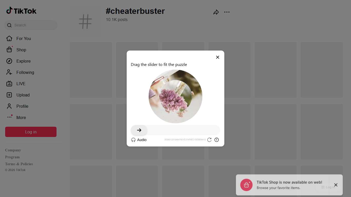 #cheaterbuster TikTok